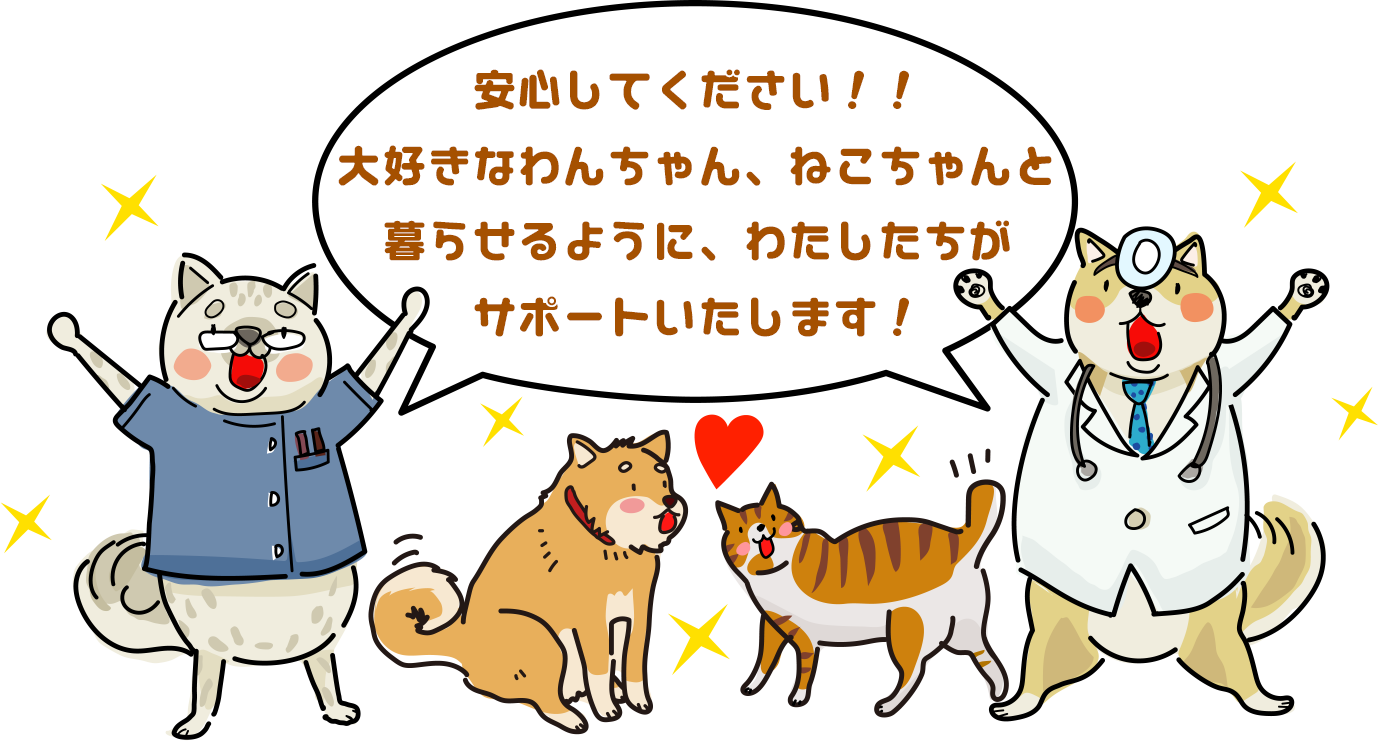 私たちがサポートいたします!