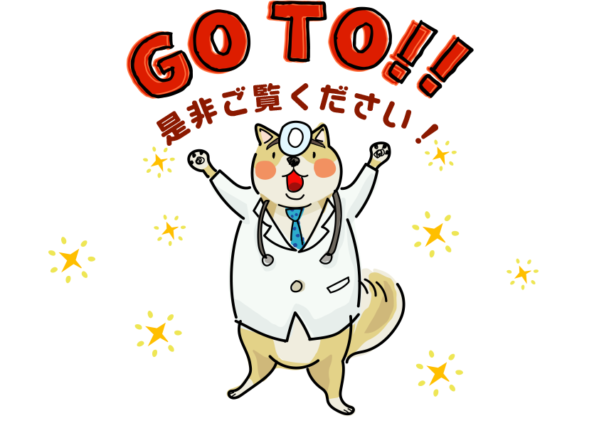 是非ご覧ください！