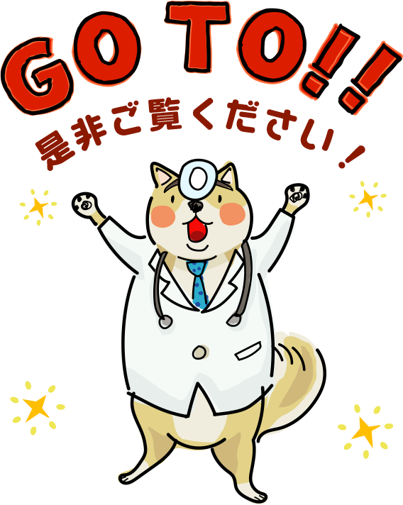 是非ご覧ください！