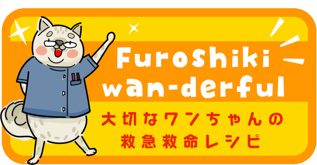 furoshiki-wan-derful