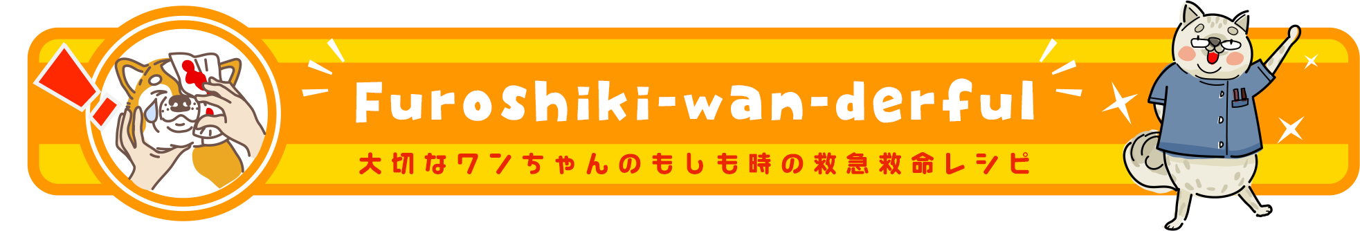 furoshiki-wan-derful