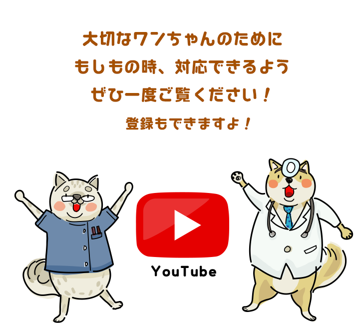 ワンちゃんの心肺蘇生の仕方をyoutubeにてご紹介しておりますので、ぜひご覧くださいませ！携帯にも登録されると便利ですよ！