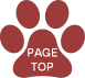 ページトップへ